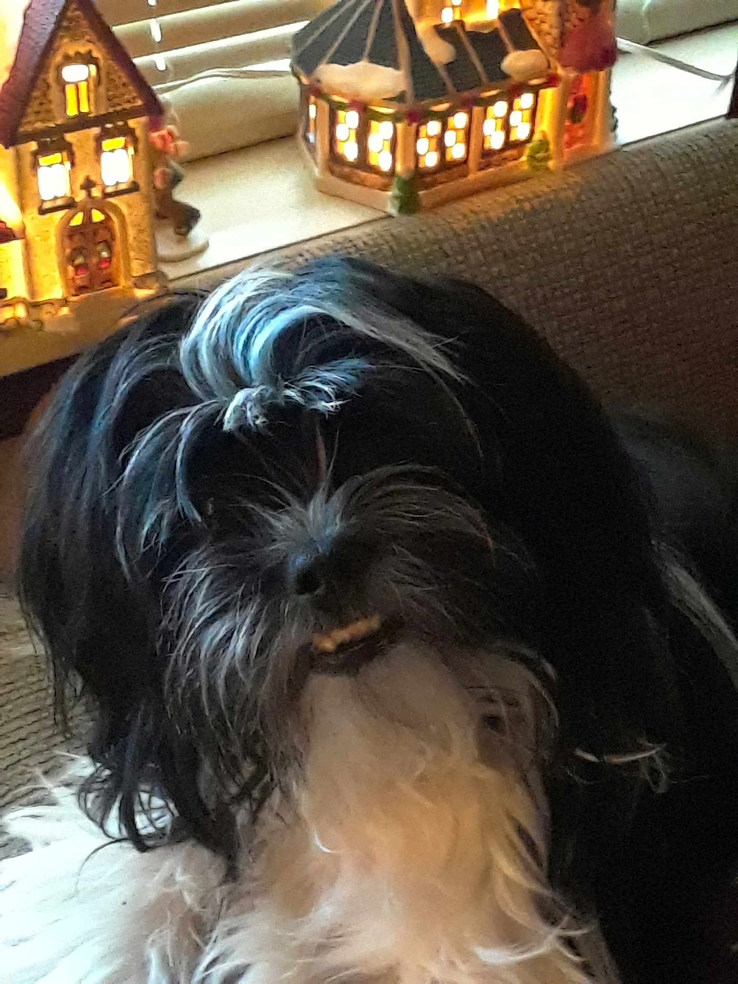 Moki
