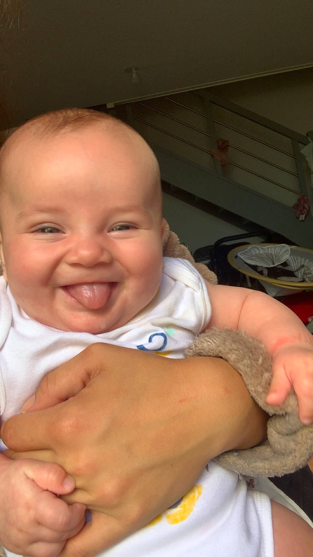 Kambeyle participe au concours pour gagner de l'argent avec cette photo : abdomen, baby, cheek, chest, comfort, elbow, eye, finger, gesture, hand, happy, joy, mouth, nail, nose, person, skin, smile, thumb, toddler