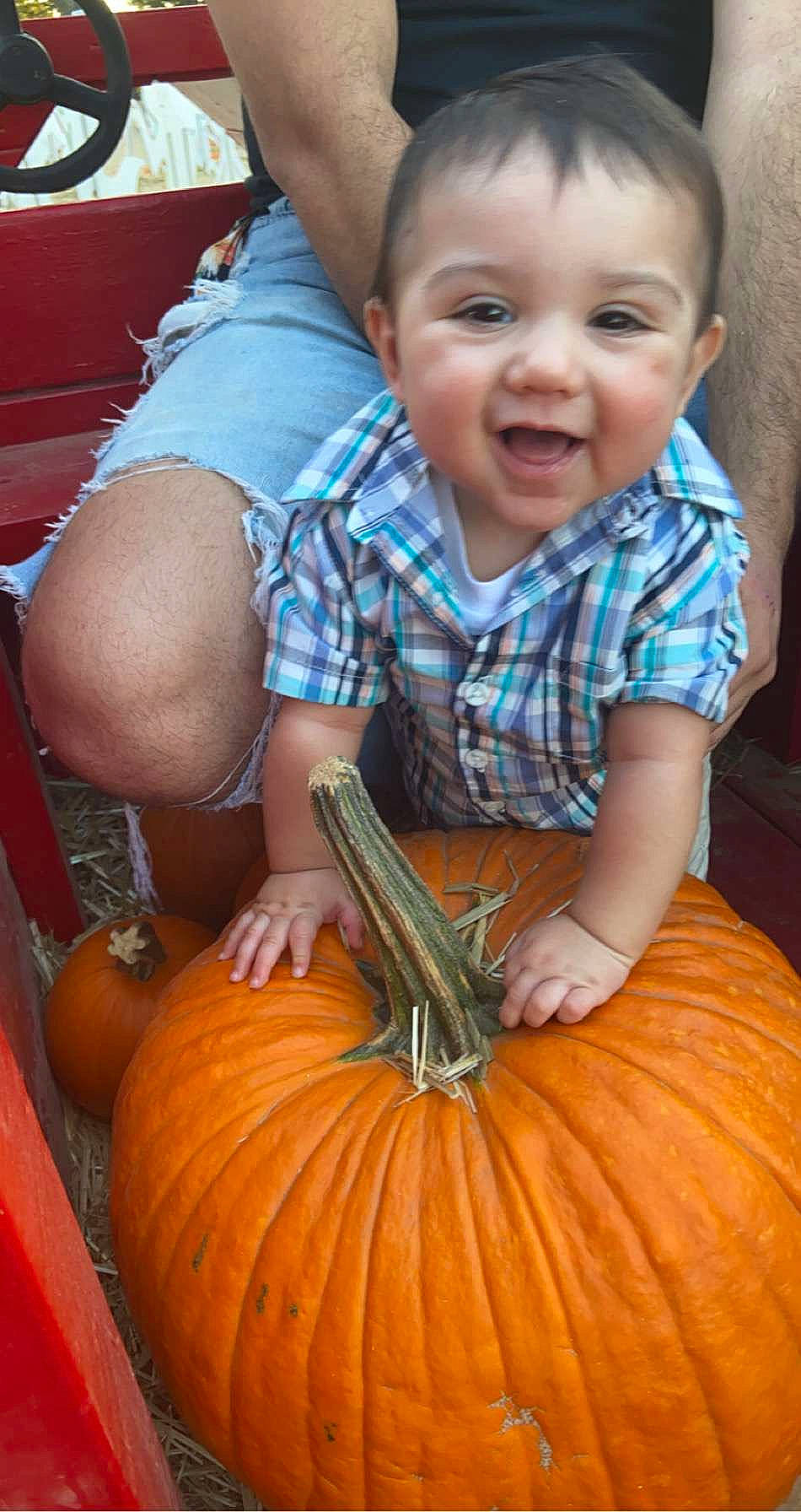 Liam joined the competition — help win amazing prizes! calabaza, clothing, cucurbita, dress, eye, facial_expression, gourd, hand, head, human_body, iris, natural_foods, orange, organ, person, photograph, plant, pumpkin, smile, squash