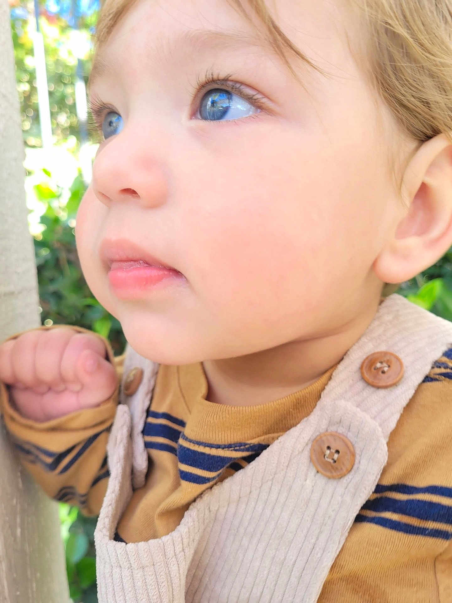 Beckham is registered to the contest to win money with this photo: toddler, child, face, blue_eyes, close_up, outdoor, curious, portrait, soft_lighting, skin, clothing, button, hand, long_eyelashes, nature, greenery, young_child, casual_wear, daylight, expression