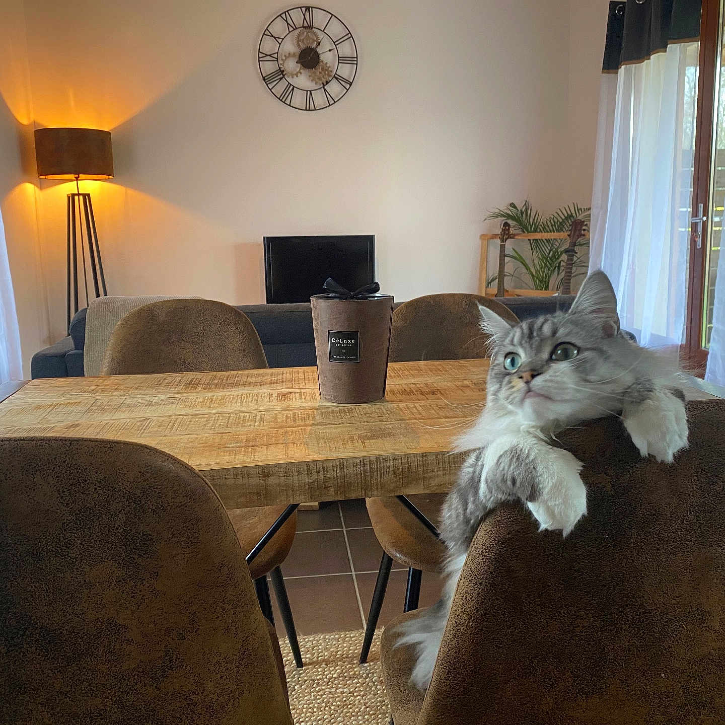 Mimine participe au concours pour gagner de l'argent avec cette photo : architecture, building, chair, coffeetable, computerhardware, couch, diningroom, diningtable, electronics, furniture, hardware, indoors, interiordesign, livingroom, monitor, room, screen, table, tabletop, wood