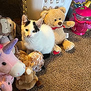 Snowflake is registered to the contest to win money with this photo: kitten, cat, stuffed_animals, plush_toys, laundry_basket, carpet, indoor, toy_unicorn, toy_bear, toy_horse, toy_elephant, floor, cute, pet, animal, play_area, colorful, soft, young_cat, domestic_cat