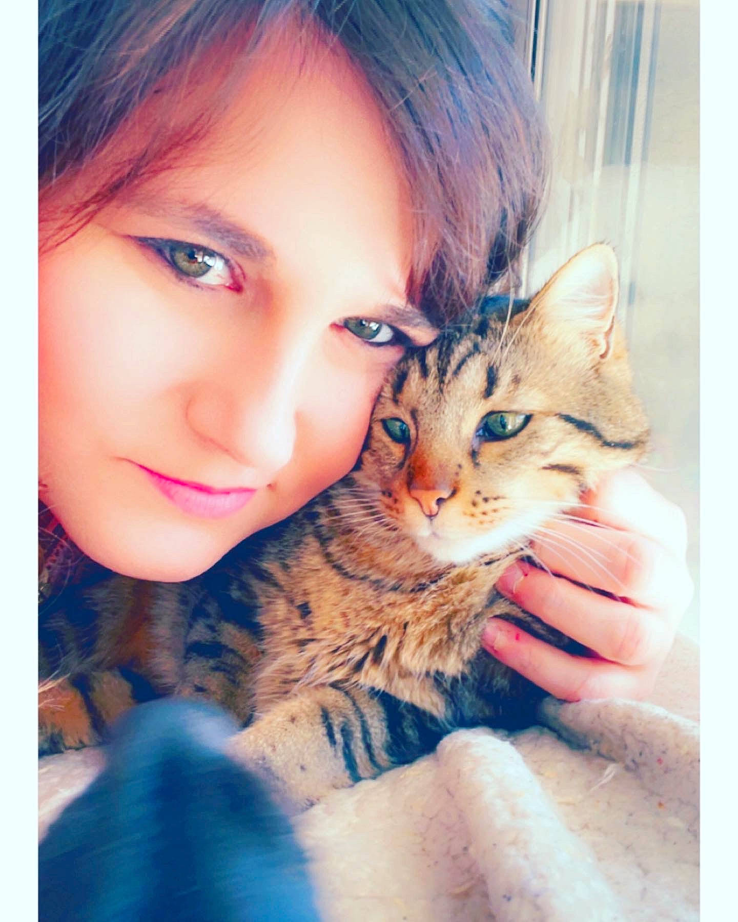 Orion a rejoint le concours — aidez-le/la à gagner de superbes lots ! blue, brown_hair, carnivore, cat, domestic_short_haired_cat, electric_blue, eyelash, fawn, felidae, gesture, happy, iris, long_hair, nail, nose, plant, skin, small_to_medium_sized_cats, smile, whiskers