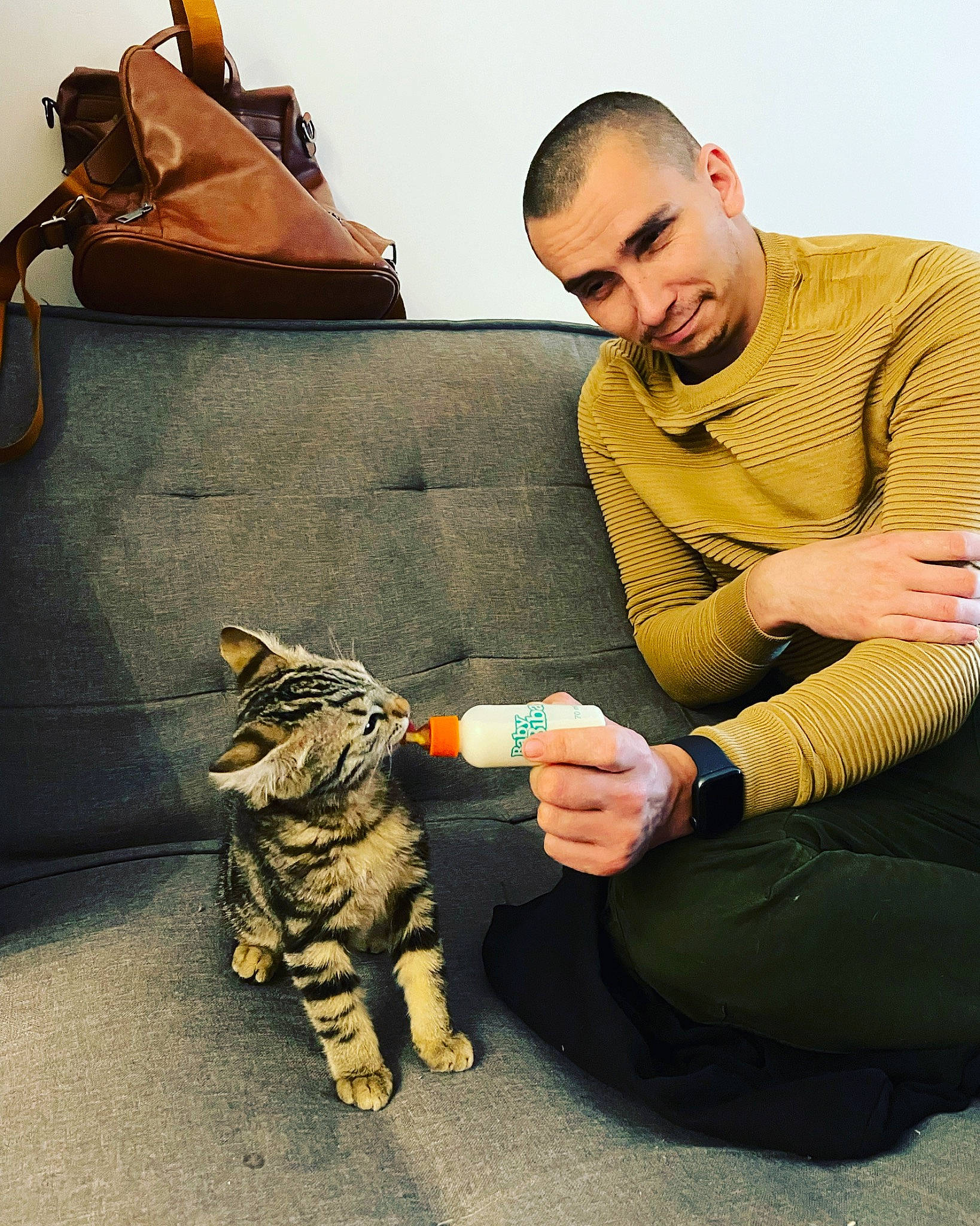 Orion a rejoint le concours — aidez-le/la à gagner de superbes lots ! arm, bengal_tiger, carnivore, cat, comfort, companion_dog, elbow, fawn, felidae, flooring, hand, joint, knee, lap, luggage_and_bags, sitting, small_to_medium_sized_cats, sneakers, tiger, whiskers