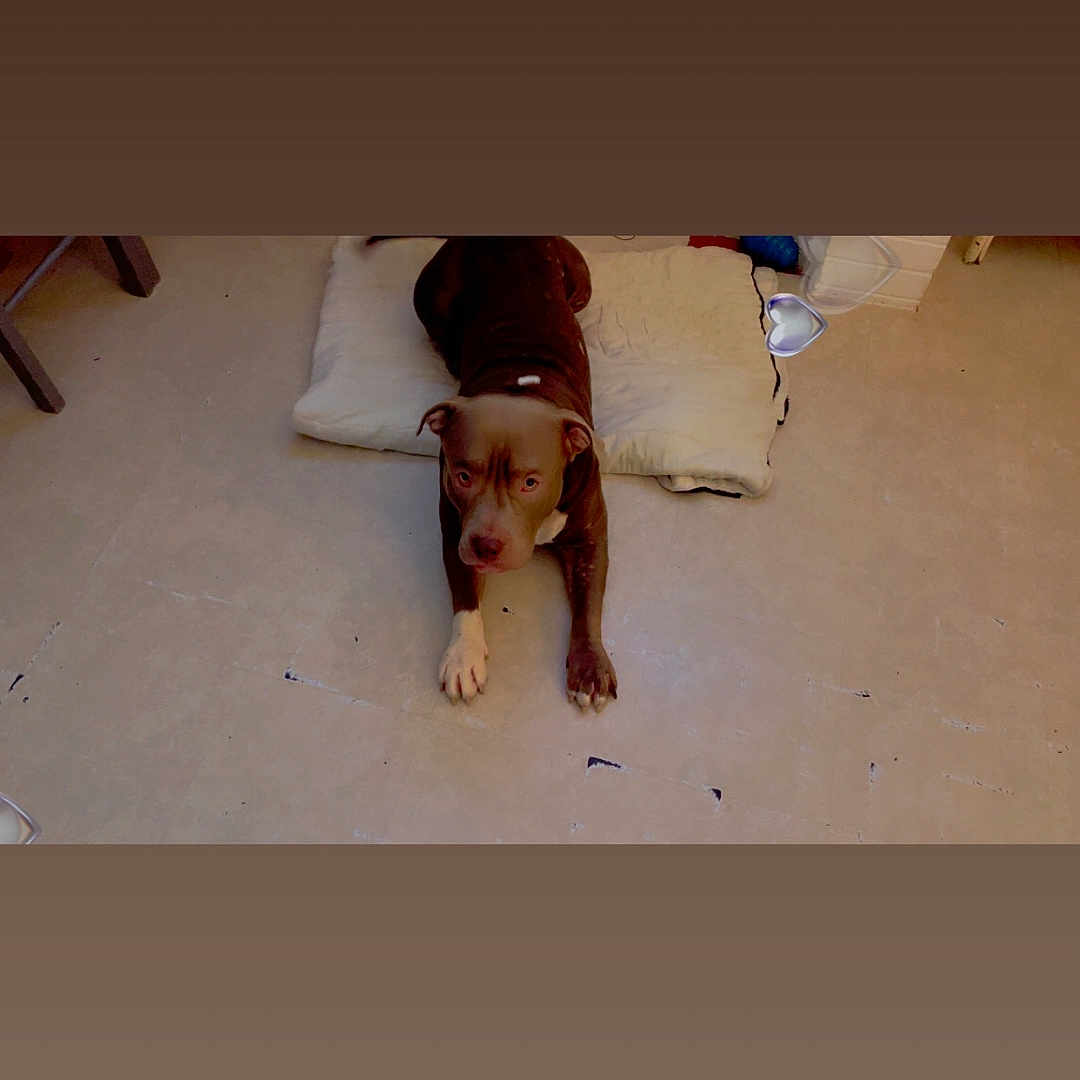 Tyson