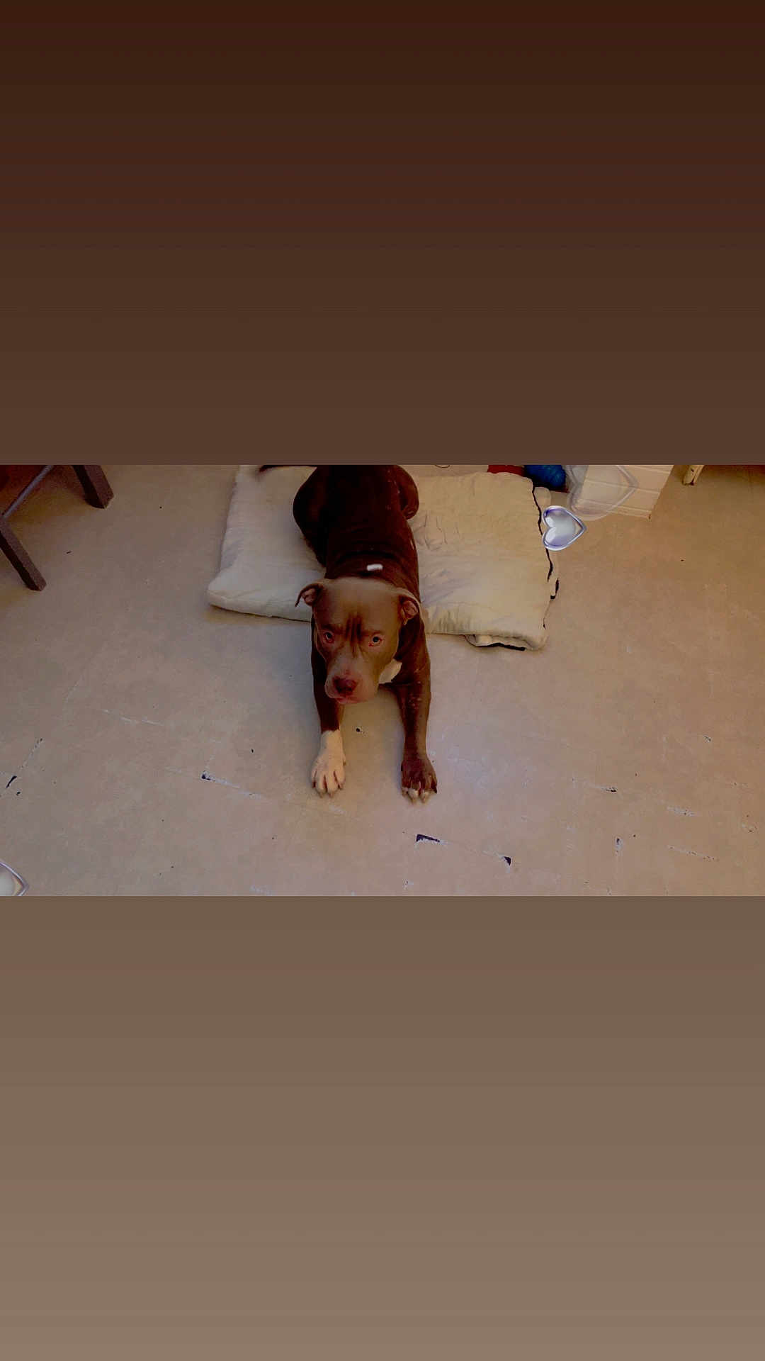 Tyson