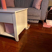 Navi joined the competition — help win amazing prizes! cat, orange_cat, peeking, coffee_table, gray_couch, pink_cushions, wooden_floor, indoor, curious, pet, furniture, living_room, floor, cozy, home, domestic_cat, playful, animal, resting, cute