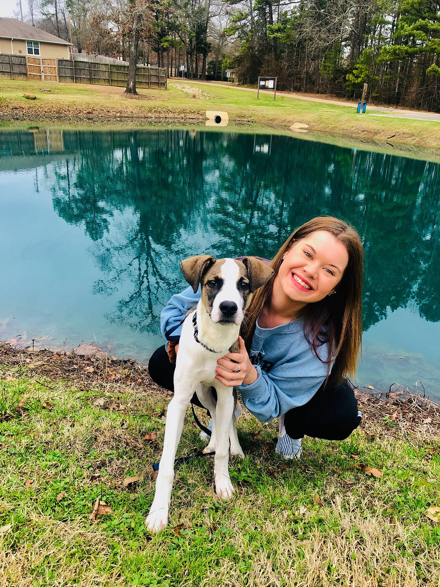 Zeke joined the competition — help win amazing prizes! carnivore, companion_dog, dog, dog_breed, fawn, fun, grass, green, happy, lake, lawn, leisure, people_in_nature, plant, recreation, smile, swimming_pool, tree, water, working_animal