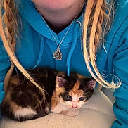 Miss Moo is registered to the contest to win money with this photo: animal, blue_hoodie, braids, calico, casual, cat, close_up, cozy, cute, face_partial, feline, hoodie, indoor, kitten, necklace, person, pet, portrait, resting, young_woman
