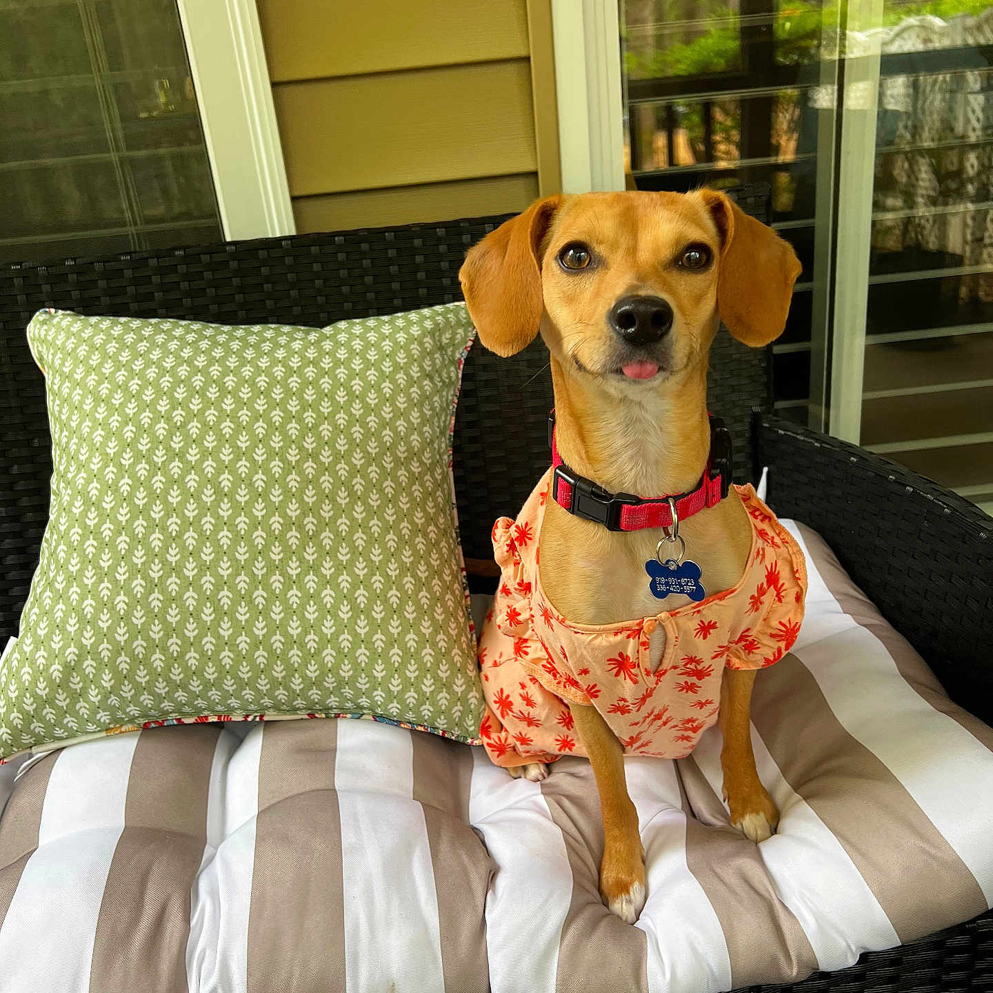 Nala