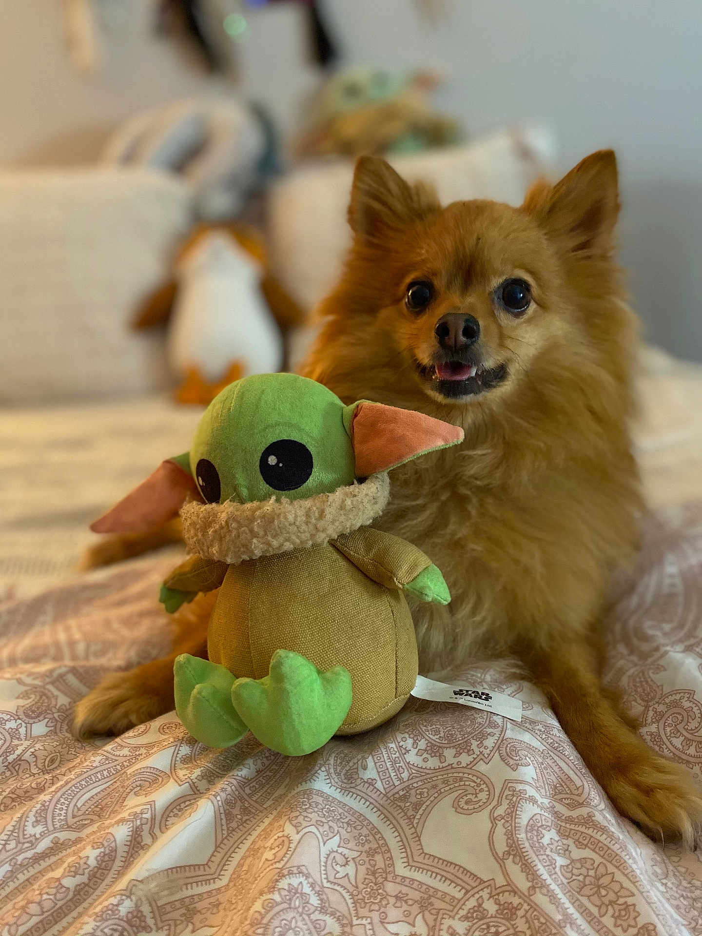Hugo
