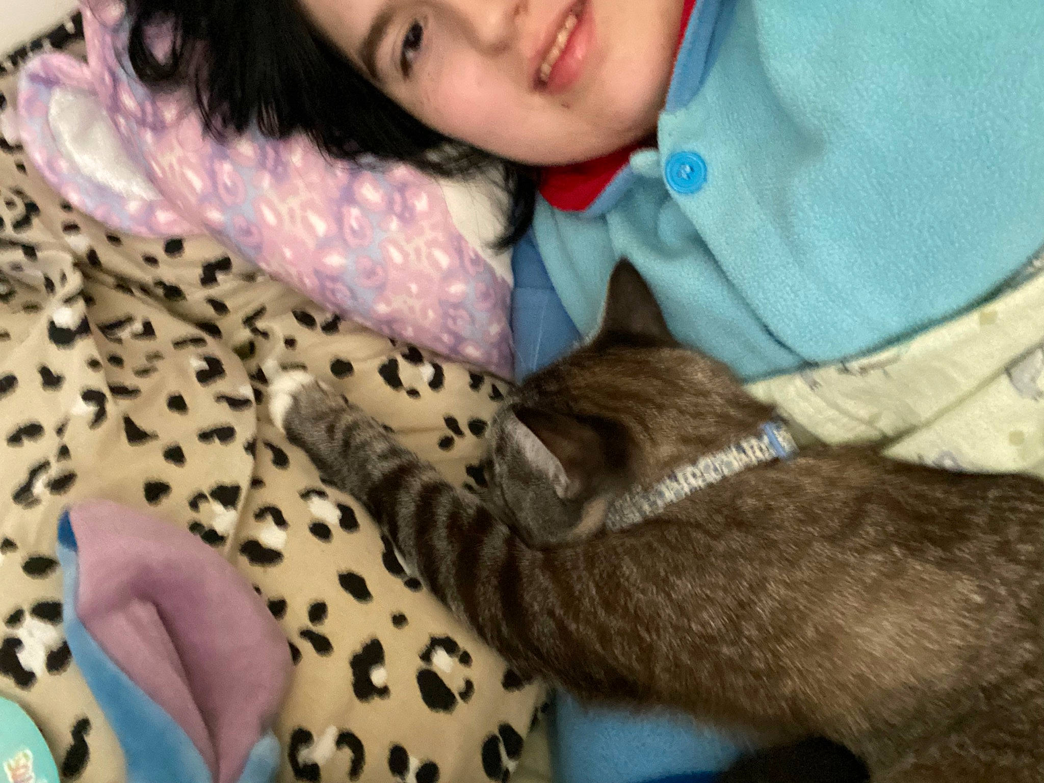 Milo is registered to the contest to win money with this photo: carnivore, cat, comfort, companion_dog, dog_breed, domestic_short_haired_cat, fawn, felidae, fur, gesture, happy, hug, human_leg, linens, pattern, paw, small_to_medium_sized_cats, smile, textile, whiskers