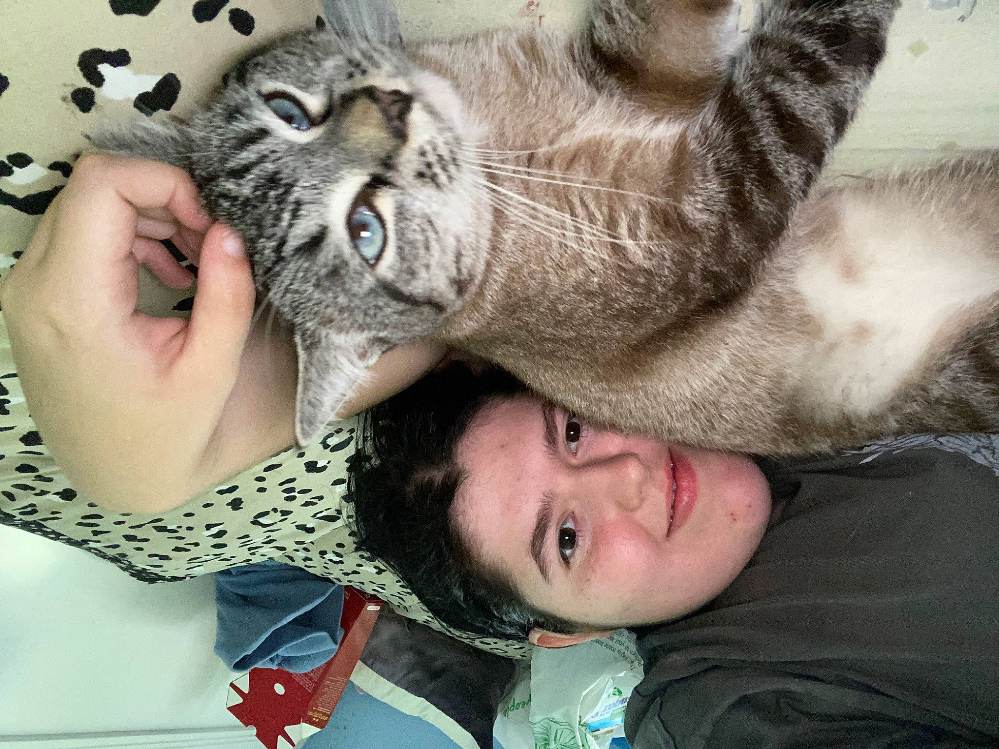 Milo joined the competition — help win amazing prizes! beard, cat, comfort, domestic_short_haired_cat, eye, eyebrow, felidae, fur, gesture, happy, jaw, mouth, nail, nose, organ, selfie, skin, small_to_medium_sized_cats, smile, whiskers