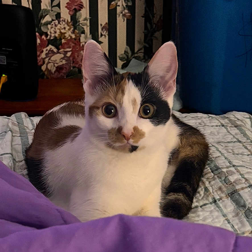 Luna
