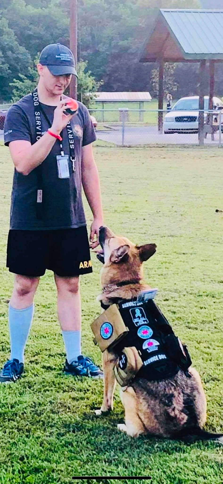 Lucy is registered to the contest to win money with this photo: baseball_cap, carnivore, collar, companion_dog, dog, dog_breed, dog_clothes, dog_collar, dog_supply, eyewear, fawn, grass, hat, leash, pet_supply, shorts, snout, street_fashion, thigh, toy_dog