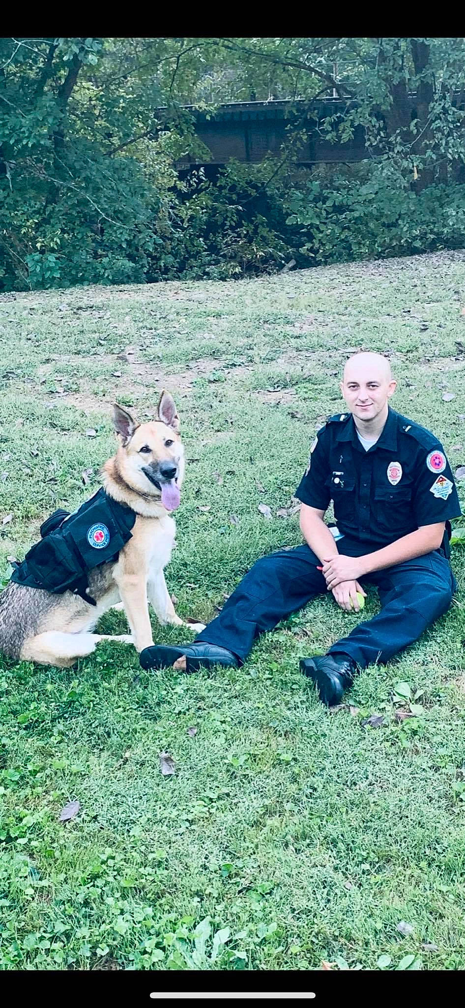 Lucy joined the competition — help win amazing prizes! baseball_cap, canidae, carnivore, companion_dog, dog, dog_breed, electric_blue, grass, grassland, herding_dog, leisure, people_in_nature, plant, recreation, siberian_husky, sitting, smile, sporting_group, tree, working_dog