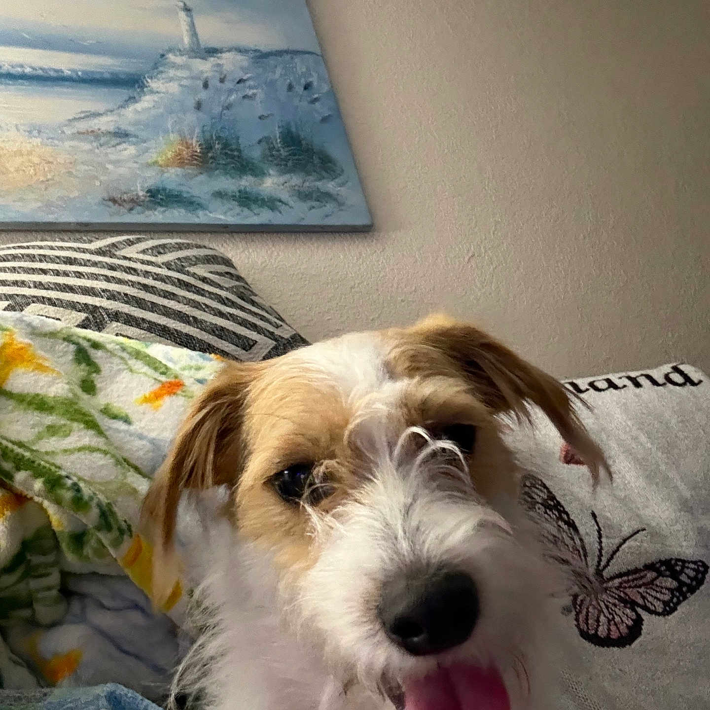 Benji