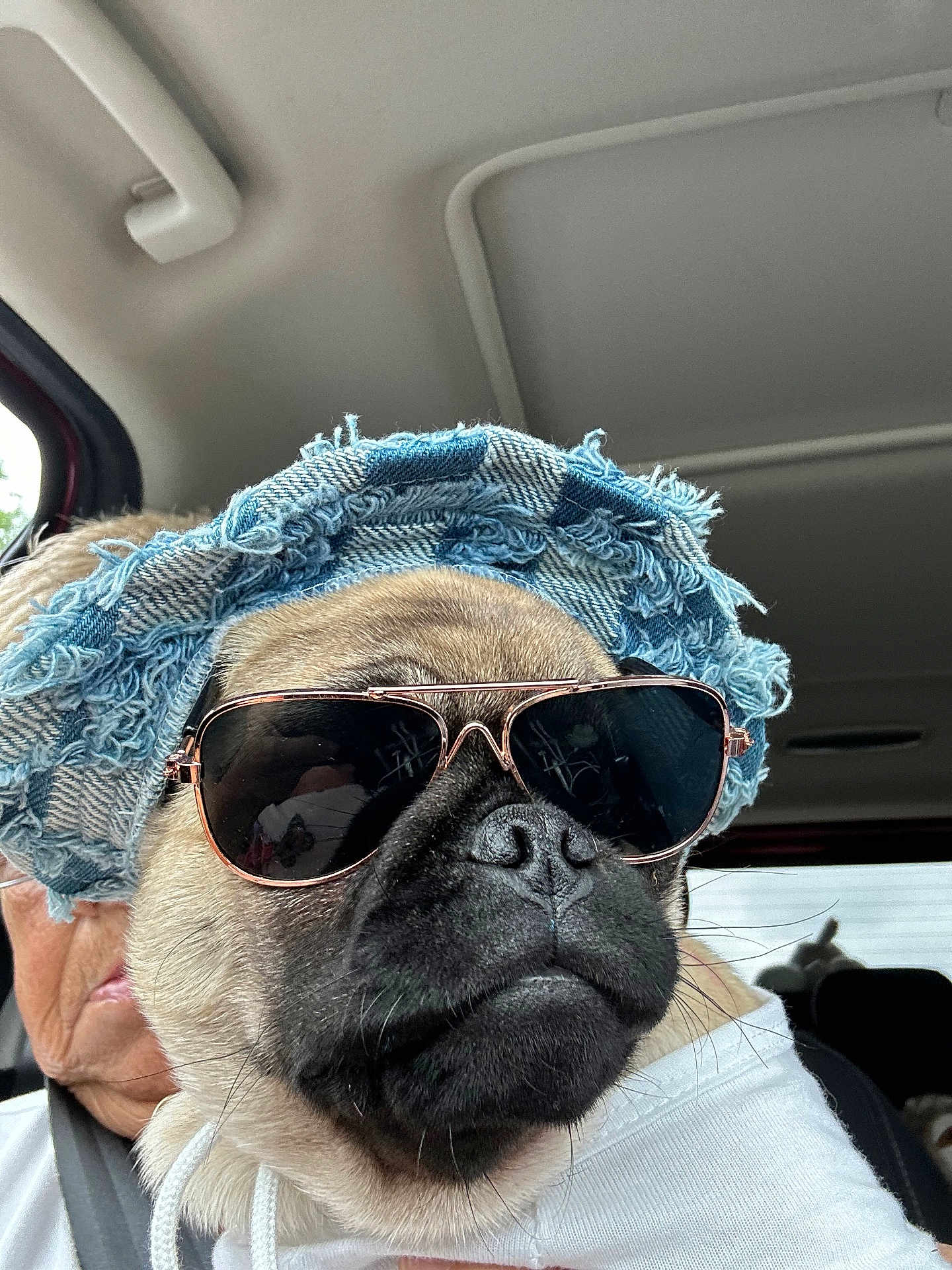 Sadie Mae