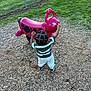 toddler, child, playground, toy, red, outdoor, grass, woodchips, fence, green, person, back_view, clothing, sneakers, hairstyle, play, reaching, daylight, park, fun