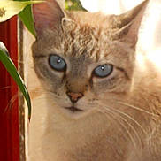 Attila participe au concours pour gagner de l'argent avec cette photo :