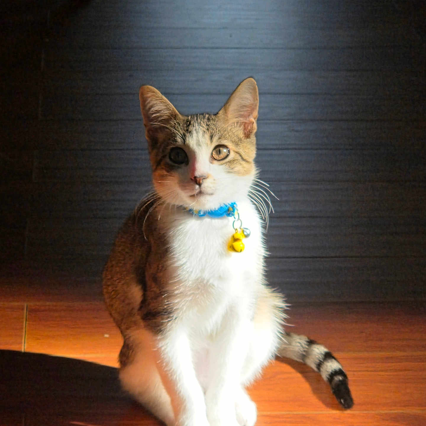 Max