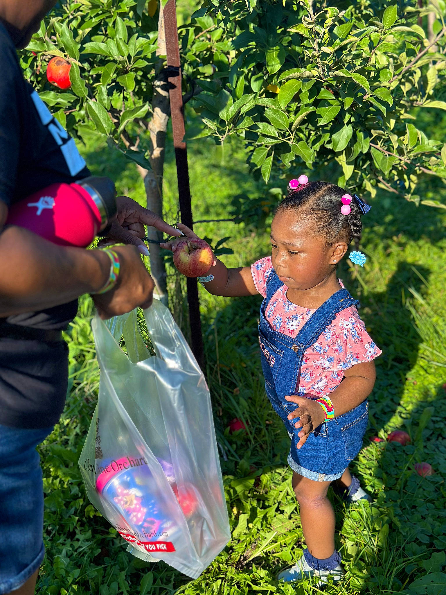 Zora joined the competition — help win amazing prizes! adaptation, botany, child, electric_blue, event, fun, gesture, grass, happy, lawn, leaf, leisure, nature, people_in_nature, person, plant, play, recreation, summer, toddler