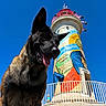 animal, art_mural, blue_sky, canine, clear_sky, collar, colorful, daylight, dog, fence, guard_dog, large_dog, lighthouse, outdoor, pet, portrait, smiling, sunny, tongue_out, urban_art