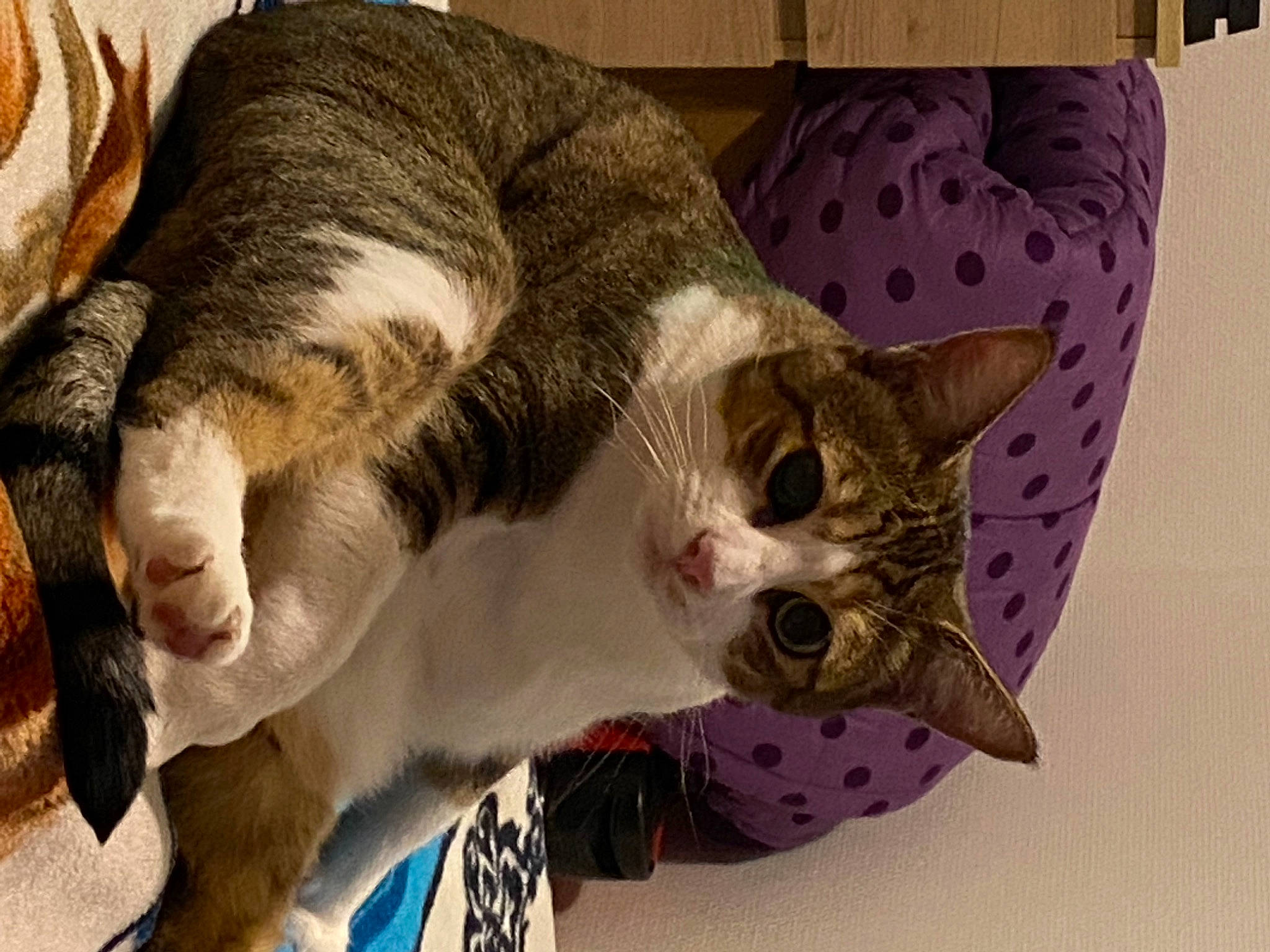 Minnie