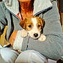 Lady participe au concours pour gagner de l'argent avec cette photo :