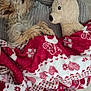 animal, bed, blanket, comfort, cozy, cute, dog, friendship, fur, home, indoor, nap, pattern, plush_toy, red, resting, sleeping, soft, stuffed_animal, white