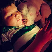 Ghost joined the competition — help win amazing prizes! animal, baby, bed, bodypart, canine, clothing, electronics, face, finger, hand, head, mobilephone, newborn, people, person, phone, photography, portrait, sleeping, t_shirt