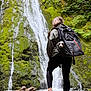 Fynn is registered to the contest to win money with this photo: waterfall, hiker, dog, backpack, forest, moss, rocks, log, outdoor, nature, person, greenery, water, legs, shoes, trees, adventure, travel, exploration, animal