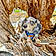 Fynn