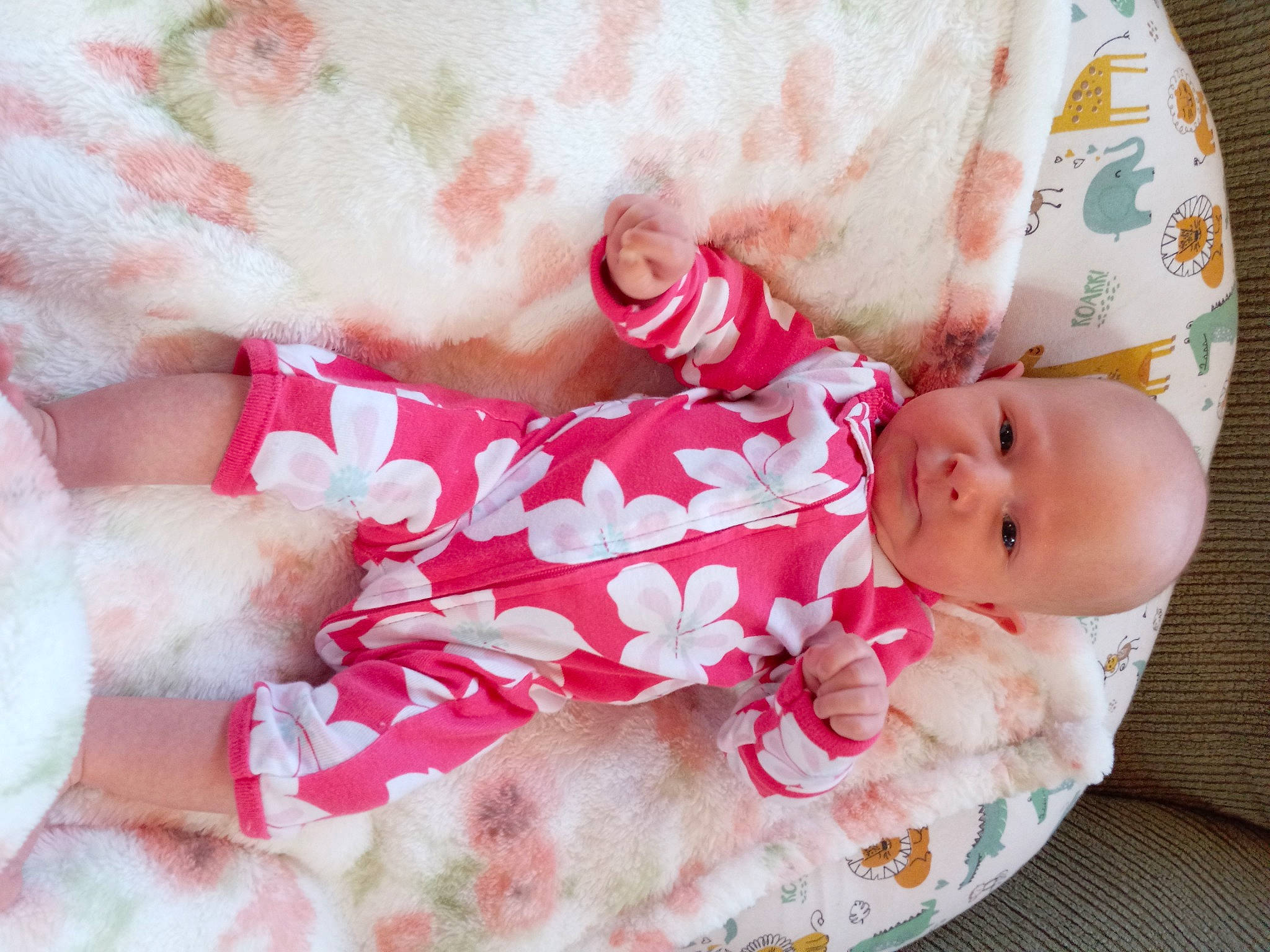 Tina is registered to the contest to win money with this photo: baby, baby_products, baby_sleeping, baby_toddler_clothing, child, comfort, fur, headgear, linens, mammal, nap, pattern, person, pink, room, skin, sleep, sleeve, textile, toddler