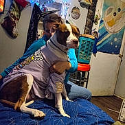 Fat Boy is registered to the contest to win money with this photo: dog, person, indoor, bed, blue_lights, baby_yoda, shirt, hugging, wall_decorations, stool, basket, door, floor, sitting, glasses, casual_clothing, blanket, furniture, cozy, decor