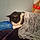 Becki