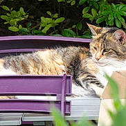 Nounouk participe au concours pour gagner de l'argent avec cette photo :