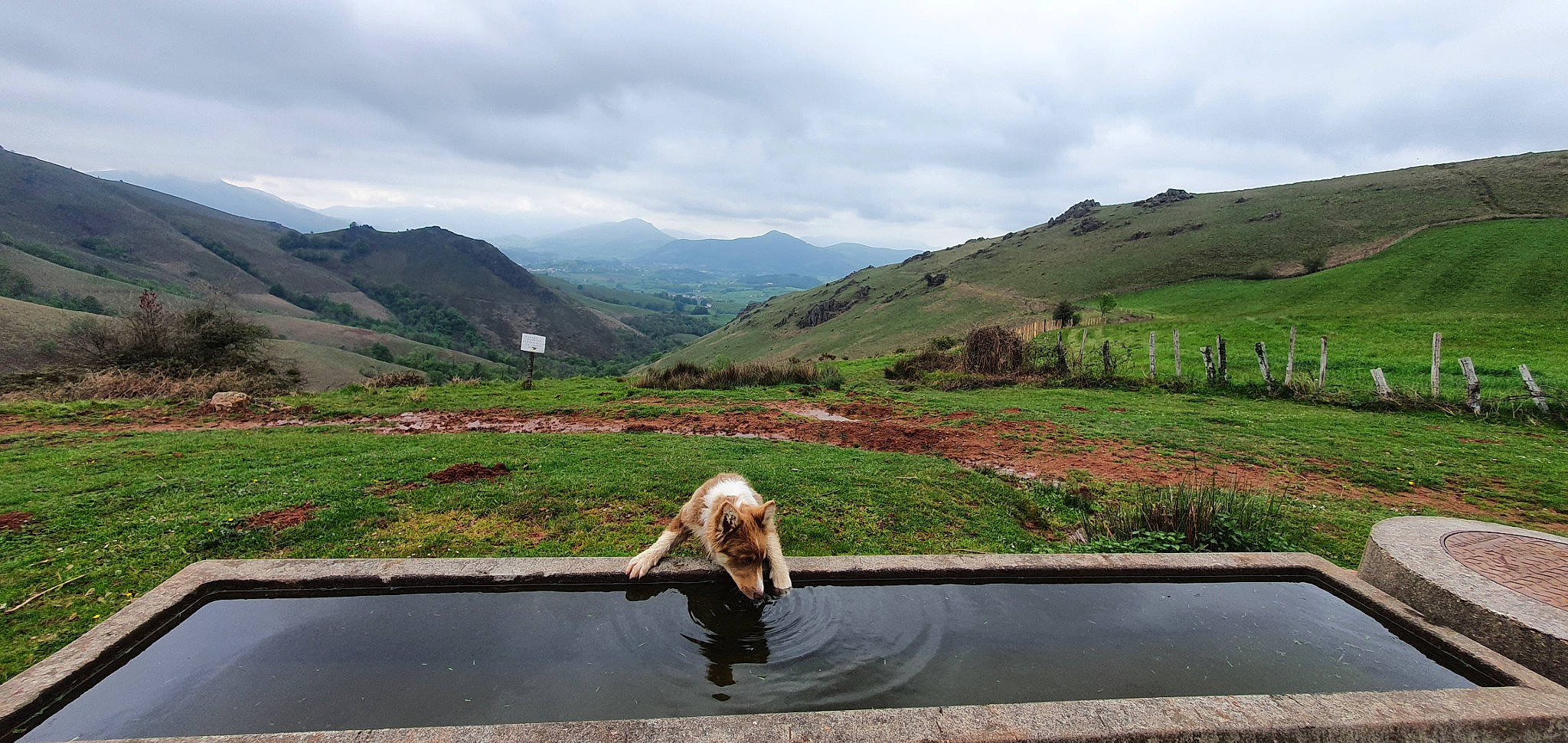 Syana a rejoint le concours — aidez-le/la à gagner de superbes lots ! asphalt, automotive_exterior, cloud, grass, grassland, hill, hill_station, landscape, leisure, mountain, mountainous_landforms, natural_landscape, plant, recreation, reservoir, road, sky, travel, tree, water_resources