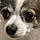 Zoey