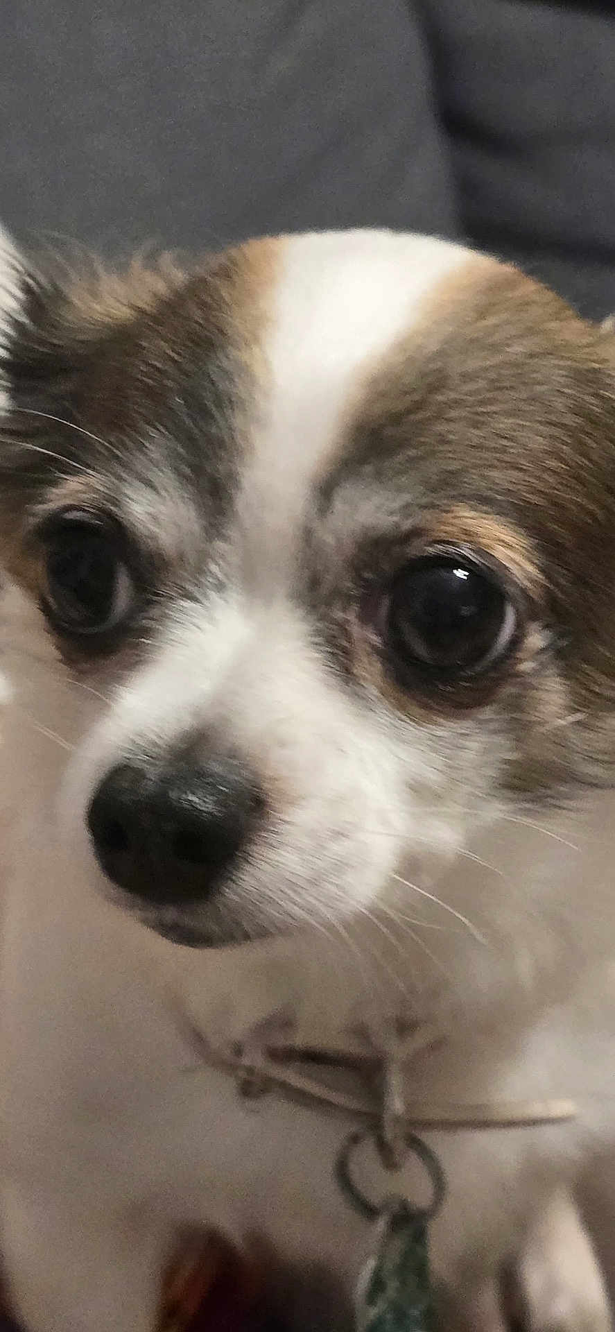 Zoey