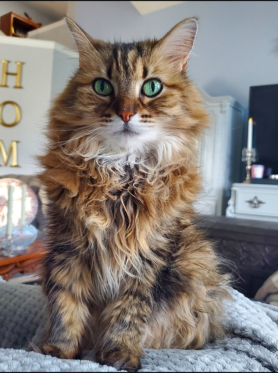 Princess