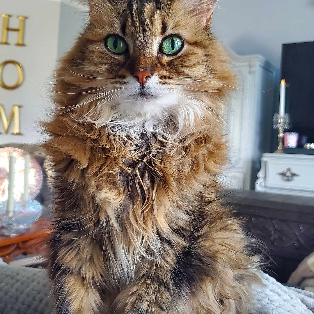 Princess