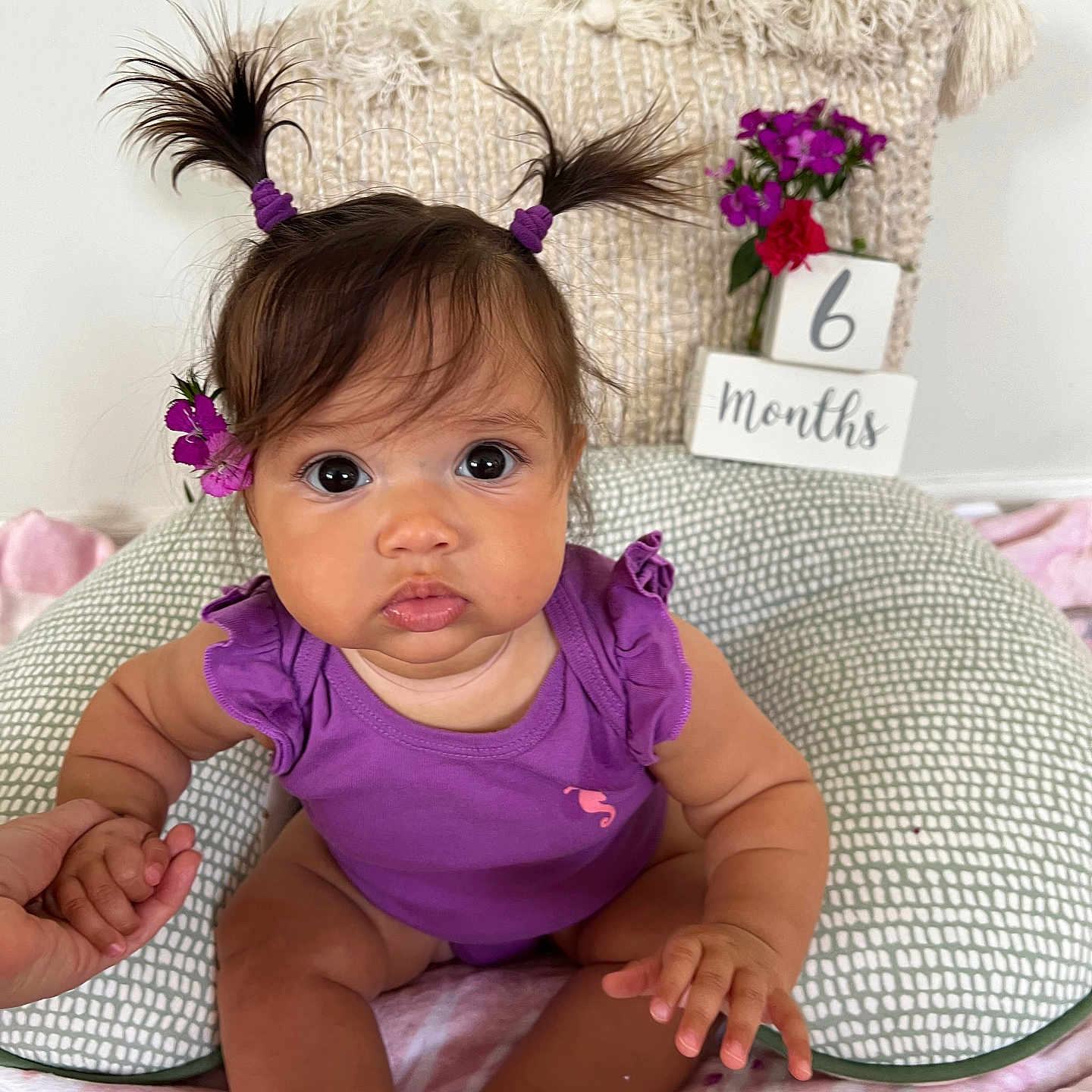 Maria is registered to the contest to win money with this photo: baby, bodypart, couch, cushion, face, finger, flower, flowerarrangement, flowerbouquet, furniture, hand, head, homedecor, newborn, person, photography, plant, portrait, purple, sitting