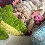 dog, puppy, french_bulldog, sleeping, plush_toy, green_toy, blanket, pink_ball, cozy, indoor, cute, pet, resting, fur, animal, soft_texture, close_up, napping, relaxing, small_dog