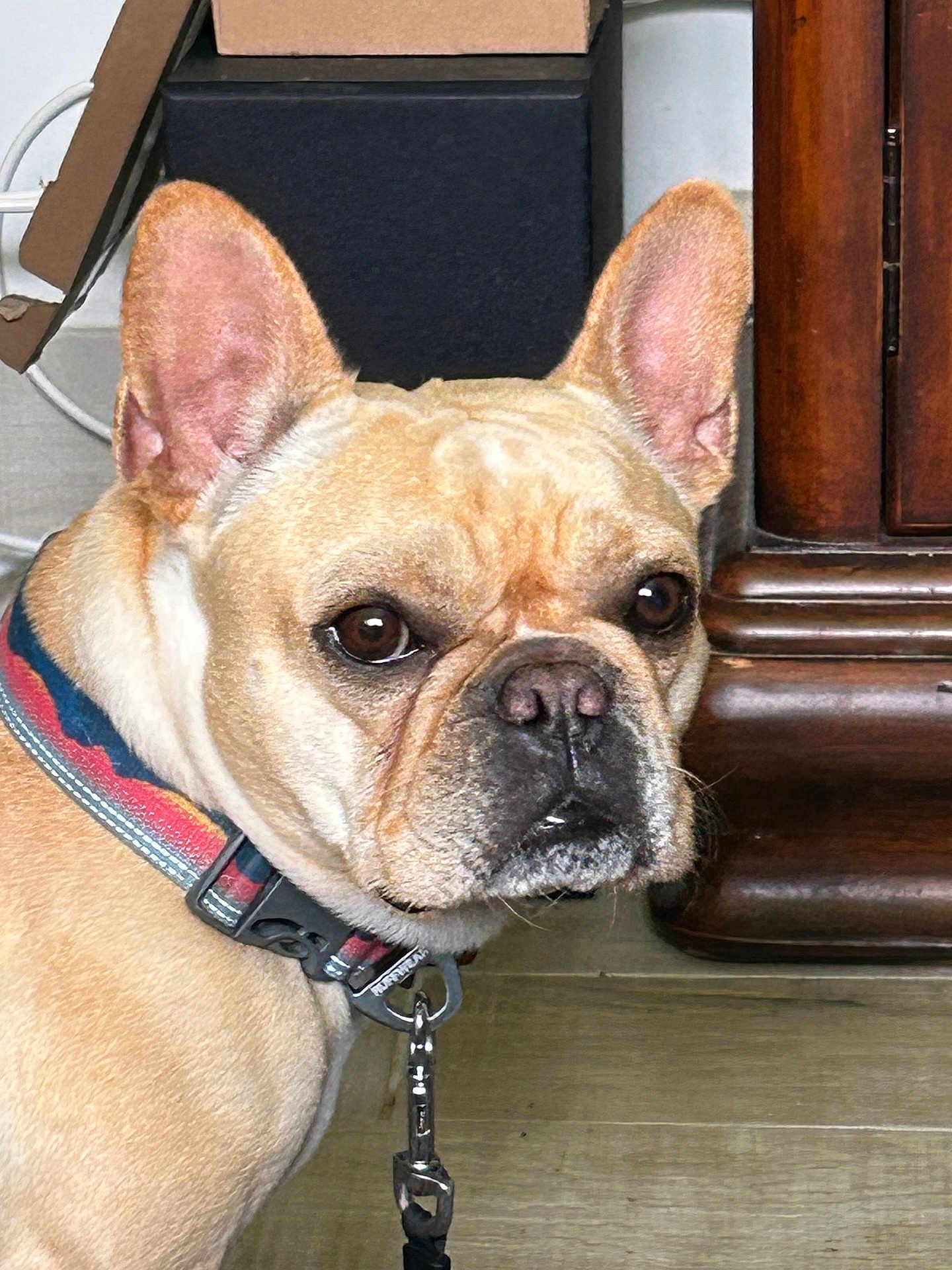 Winnie