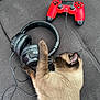 cat, siamese_cat, headphones, gaming_controller, red_controller, black_headphones, couch, gray_couch, pet, paw, wire, technology, indoor, relaxation, animal, feline, leisure, closeup, home, playful