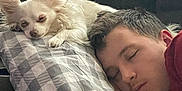 Maggy is registered to the contest to win money with this photo: dog, man, sleeping, pillow, couch, indoor, resting, white_dog, short_hair, close_up, relaxing, pet, companion, cozy, nap, fur, human, comfort, face, home