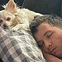 dog, man, sleeping, pillow, couch, indoor, resting, white_dog, short_hair, close_up, relaxing, pet, companion, cozy, nap, fur, human, comfort, face, home