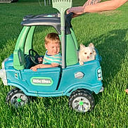 Maggy joined the competition — help win amazing prizes! toddler, toy_car, dog, child, outdoor, grass, adult, play, sunlight, greenery, pet, fun, summer, happy, small_dog, plastic_toy, backyard, cute, family, playtime