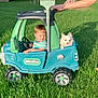 toddler, toy_car, dog, child, outdoor, grass, adult, play, sunlight, greenery, pet, fun, summer, happy, small_dog, plastic_toy, backyard, cute, family, playtime